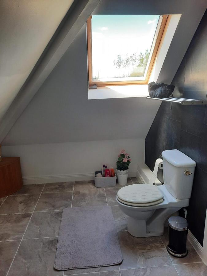 Killenard Self Catering Accommodation מראה חיצוני תמונה